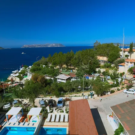 Linda Class - Boutique Class Каш