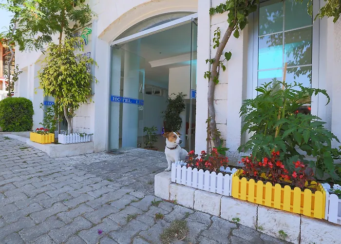 Linda Class - Boutique Class Hotel