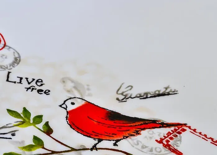 Linda Class - Boutique Class Kas