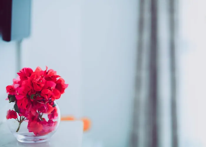 Linda Class - Boutique Class Kaş